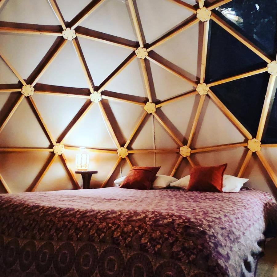 Hotel Sottu E Stelle Albitreccia Zimmer foto